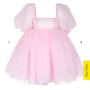 Selkie Pink Puff Dress XL